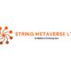 String Metaverse 80x80